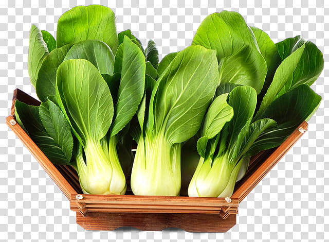 vegetable leaf vegetable food choy sum plant, Komatsuna, Flower, Herb transparent background PNG clipart
