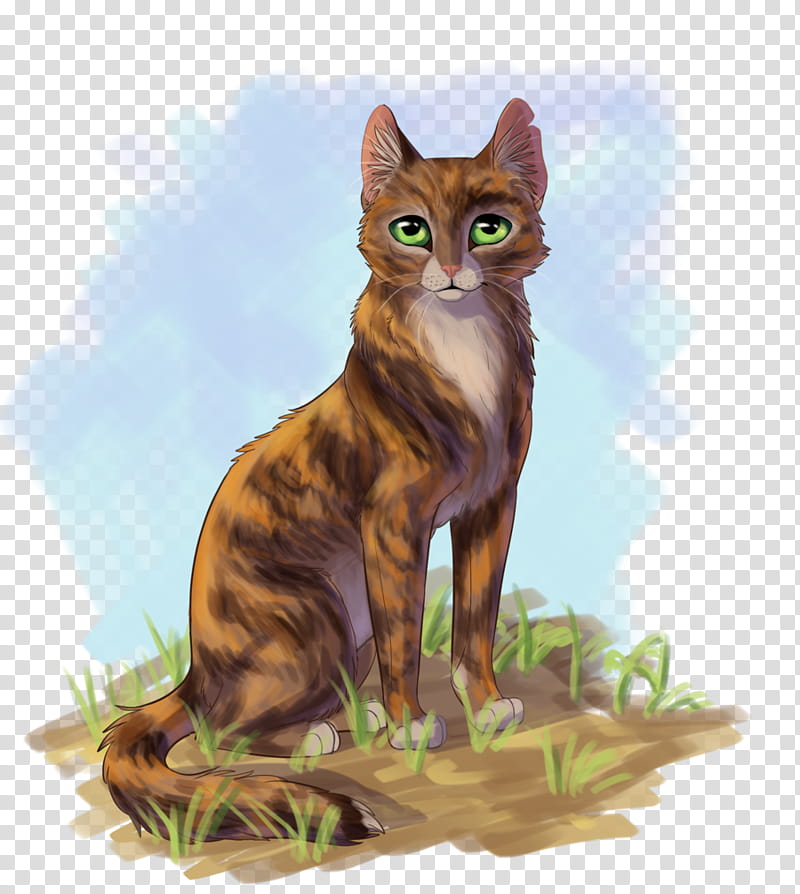 Kitten, Tawnypelt, Cat, Rising Storm, Brambleclaw, Tigerstar, Rowanclaw, Goldenflower transparent background PNG clipart