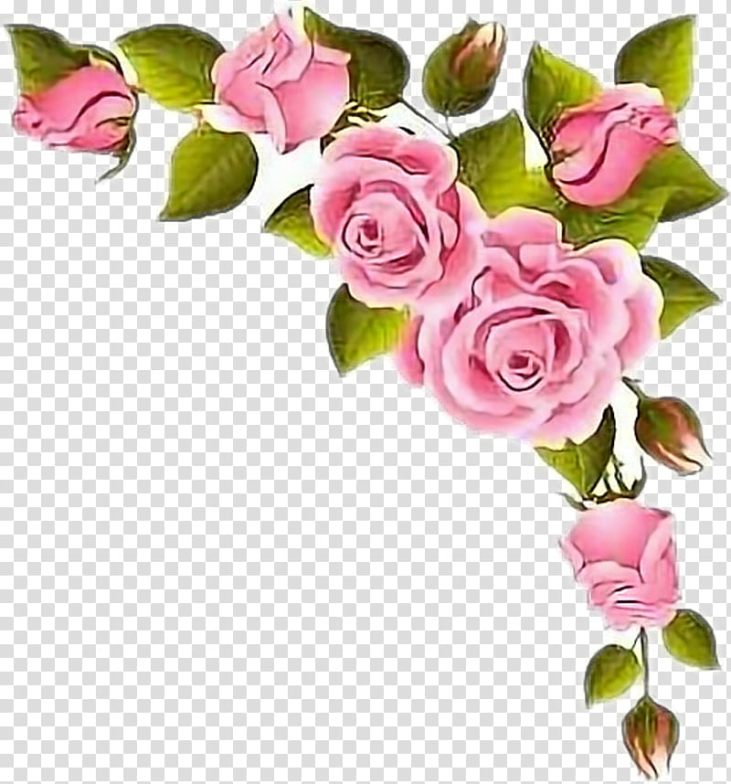Wedding Flower Bouquet, Rose, Pink, White, Red, Decal, Purple, Fuchsia transparent background PNG clipart