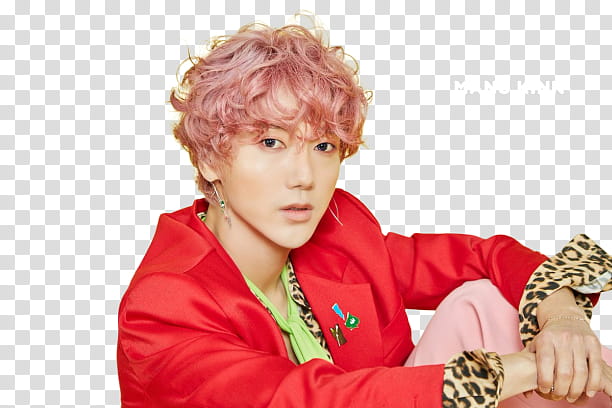 Yesung, Super Junior transparent background PNG clipart