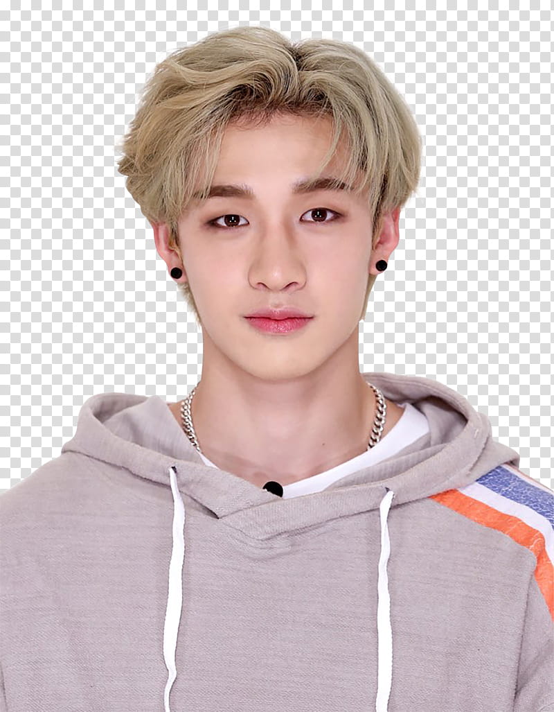 New Ade Stray Kids transparent background PNG clipart