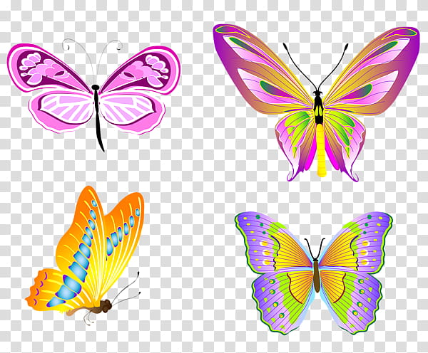 Monarch Butterfly Drawing, Glasswing Butterfly, Brushfooted Butterflies, Insect, Moth, Lepidoptera, Glasswing Butterflies, Moths And Butterflies transparent background PNG clipart