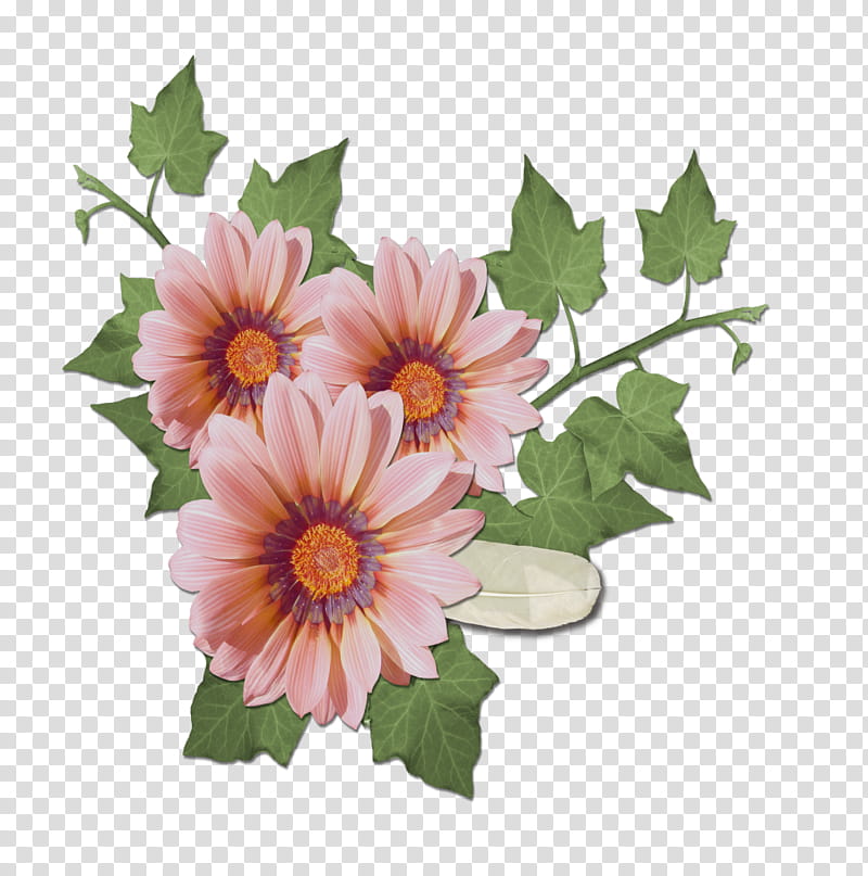 Flowers, Watercolor Painting, Transvaal Daisy, Floral Design, Cut Flowers, Ornamental Plant, Gerbera, Daisy Family transparent background PNG clipart