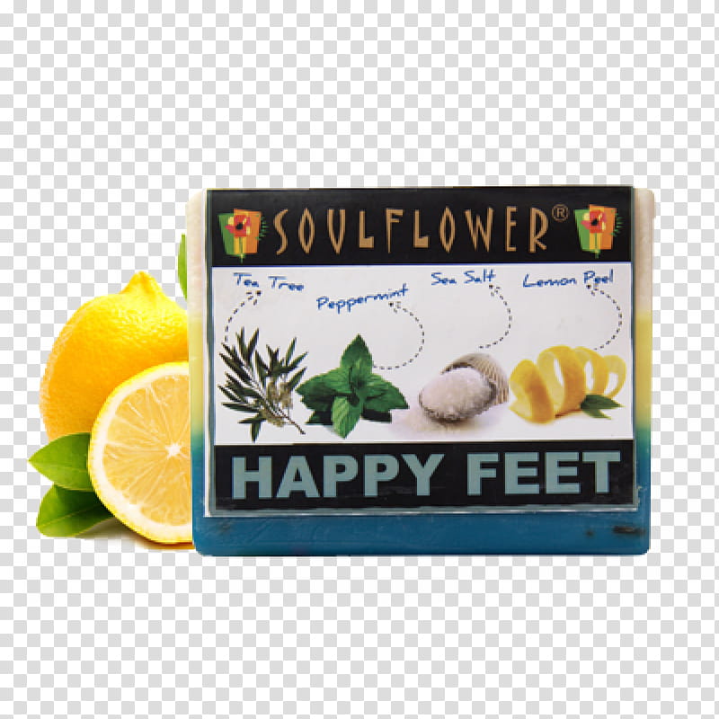 Lemon, Citric Acid, Oil, Flavor, Soap, Foot, Citrus, Fruit transparent background PNG clipart