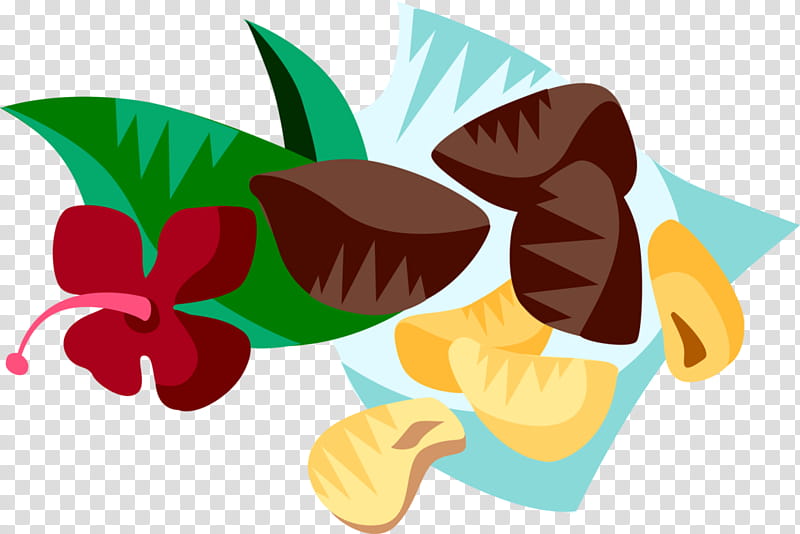 Plant Leaf, Brazilian Cuisine, Nut, Brazil Nut, Food, Windows Metafile, Petal, Flower transparent background PNG clipart