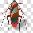 Insects, cockroach  icon transparent background PNG clipart