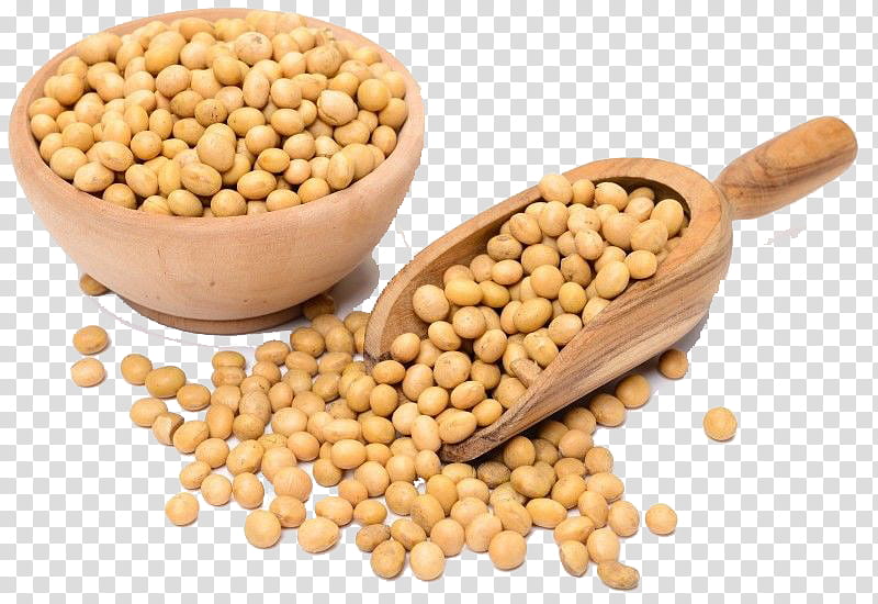 Vegetable, Soybean, Organic Food, Genetically Modified Soybean, Legumes, Soybean Meal, Soybean Oil, Genetically Modified Organism transparent background PNG clipart