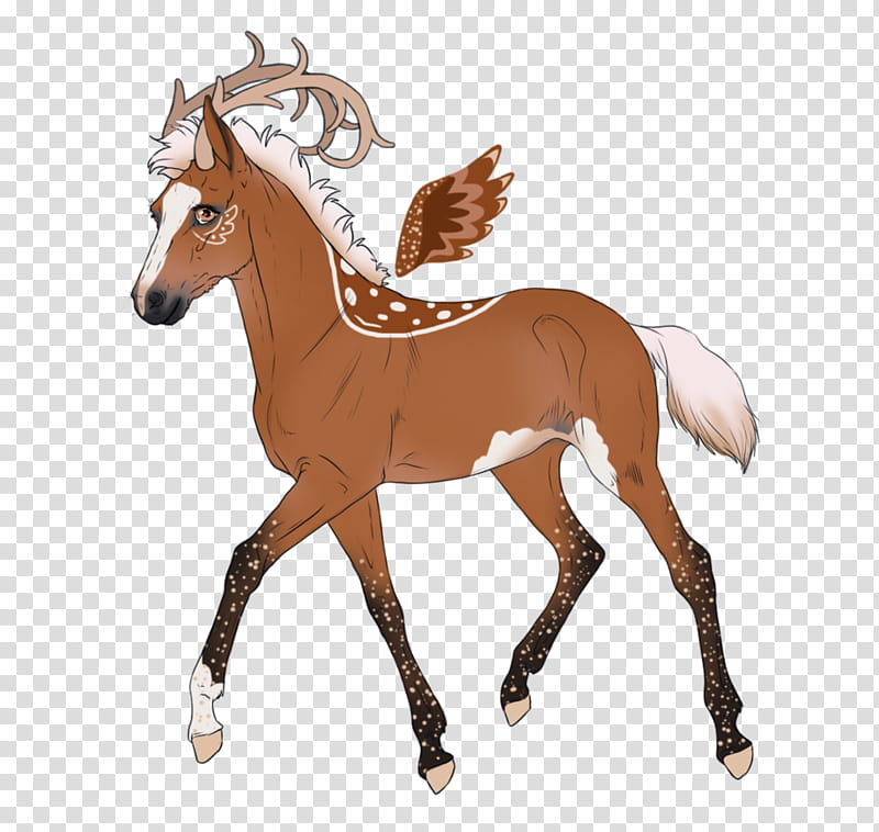 Horse, Mustang, Morgan Horse, American Paint Horse, Foal, Stallion, Arabian Horse, Australian Horse transparent background PNG clipart