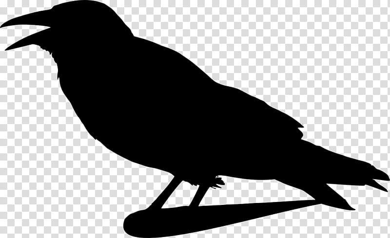 Robin Bird, Common Raven, Crow, Silhouette, Carrion Crow, Crow Family, Crows, Beak transparent background PNG clipart