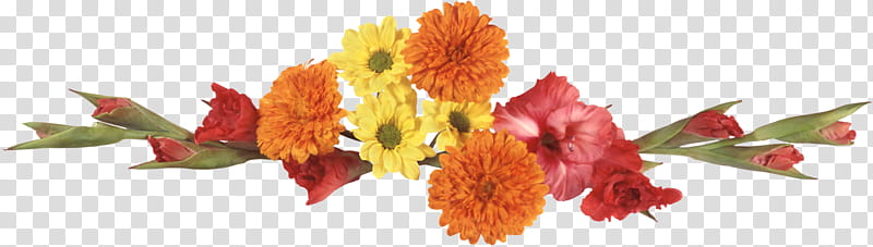 flower border flower background floral line, Tagetes, Cut Flowers, Yellow, English Marigold, Orange, Petal, Plant transparent background PNG clipart