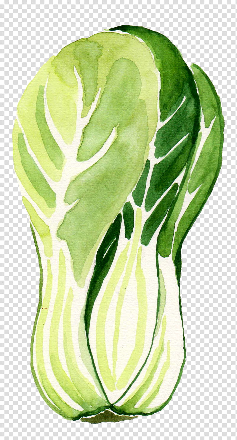 Green Leaf, Spring Greens, Collard, Kohlrabi, Cabbage, Plants, Vegetable, Salad transparent background PNG clipart