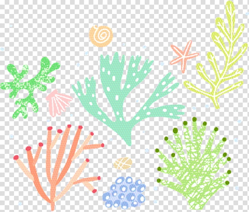 Coral Reef, Fir, Christmas Ornament, Marine Biology, Pine, Christmas Day, Branching, Pine Family transparent background PNG clipart