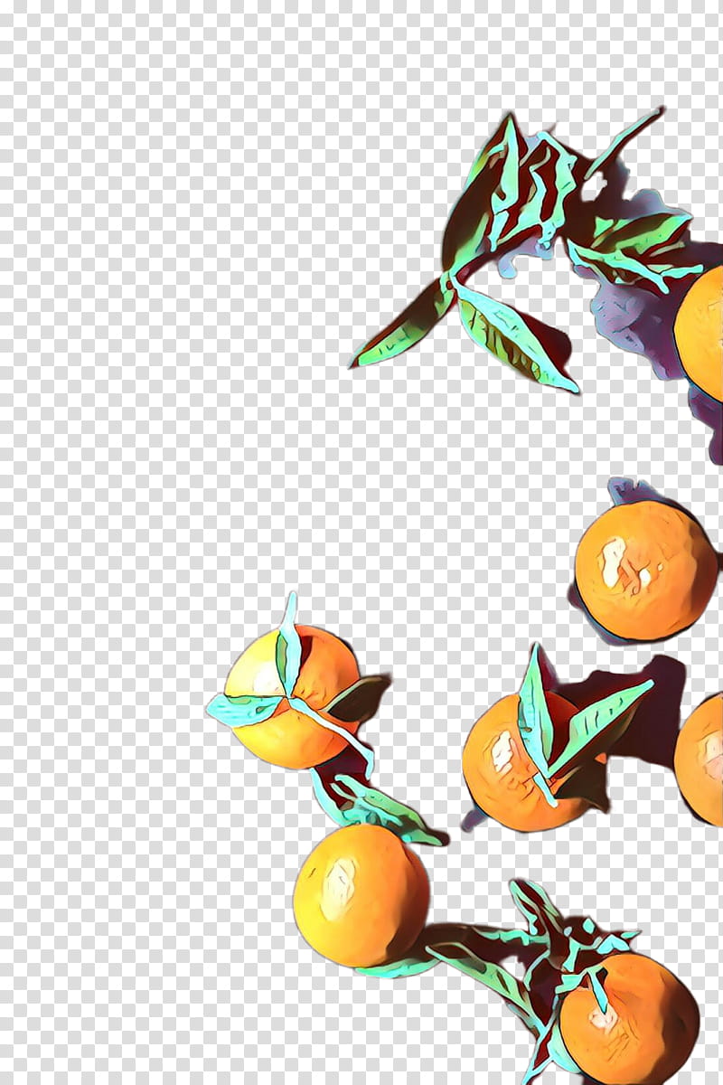 Orange, Mandarin Orange, Tangerine, Clementine, Fruit, Citrus, Tangelo, Valencia Orange, Kumquat transparent background PNG clipart