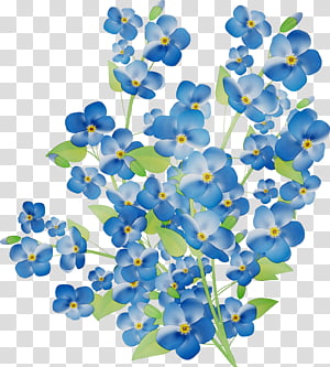 Floral Heart, Scorpion Grasses, Flower, Zazzle, Iphone X, Gift, Floral Design, Gift Tags  Labels transparent background PNG clipart thumbnail