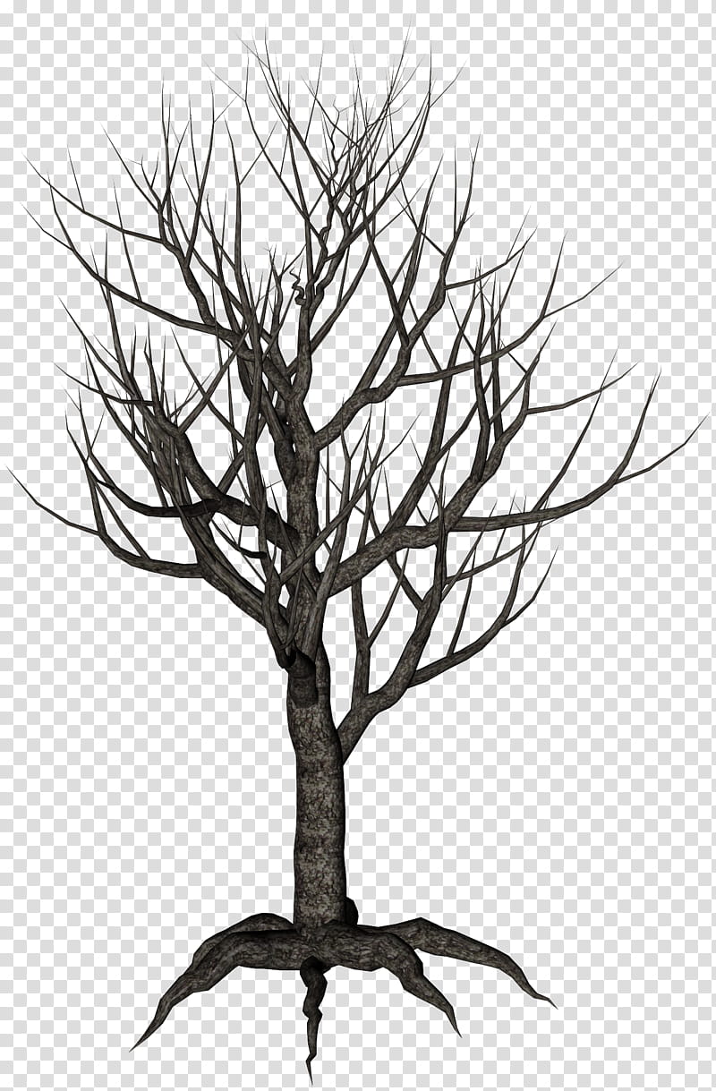 Winter Trees, grey bare tree icon transparent background PNG clipart