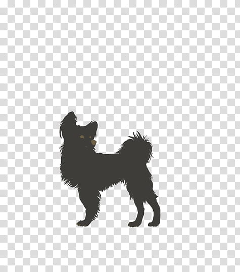 Dog Silhouette, Affenpinscher, Puppy, Australian Shepherd, Louisiana Catahoula Leopard Dog, Companion Dog, Breed, Dog Agility transparent background PNG clipart