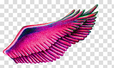 AESTHETIC GRUNGE, pink and green wings illustration transparent background PNG clipart