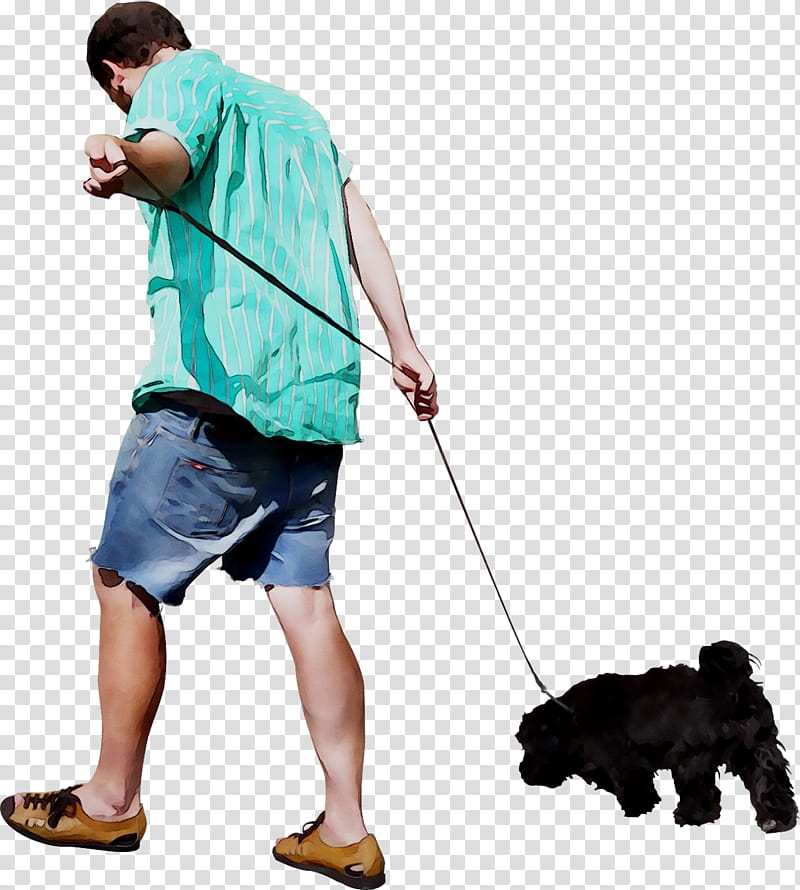 Dog And Cat, Leash, Rottweiler, Puppy, Pet, Ruffwear, Ruffwear Roamer Dog Lead, Dog Walking transparent background PNG clipart