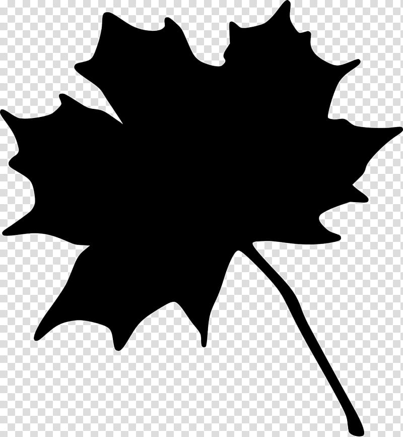 Red Maple Tree, Maple Leaf, Autumn, Autumn Leaf Color, Black, Sugar Maple, Logo, White transparent background PNG clipart