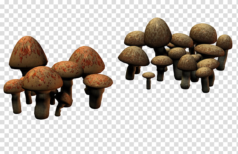 E S Mushrooms II Fairy Rings, brown-and-red mushroom lot transparent background PNG clipart
