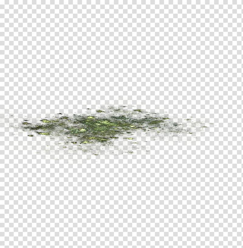 Aqua Set Fractal Set III, green leaves transparent background PNG clipart