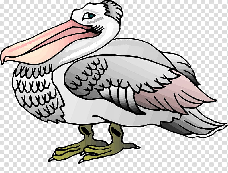 bird beak cartoon andean condor vulture, Line Art, Seabird transparent background PNG clipart