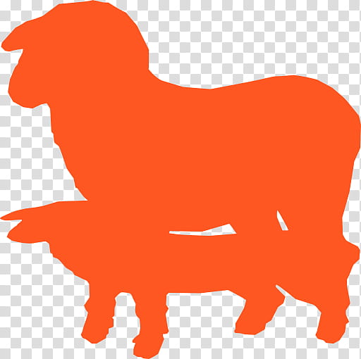 Sheep, Lamb, Shadow, Lamb Meat, Animal, Silhouette, Pen, Creative Commons transparent background PNG clipart