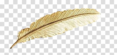 Feathers and Wings, gold-colored feather transparent background PNG clipart