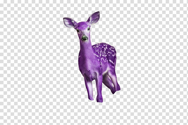 purple deer illustration transparent background PNG clipart