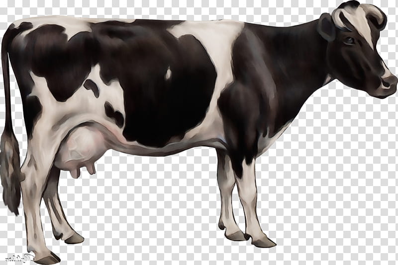 Watercolor Animal, Paint, Wet Ink, Dairy Cattle, Holstein Friesian Cattle, Sheep, Painting, Live transparent background PNG clipart