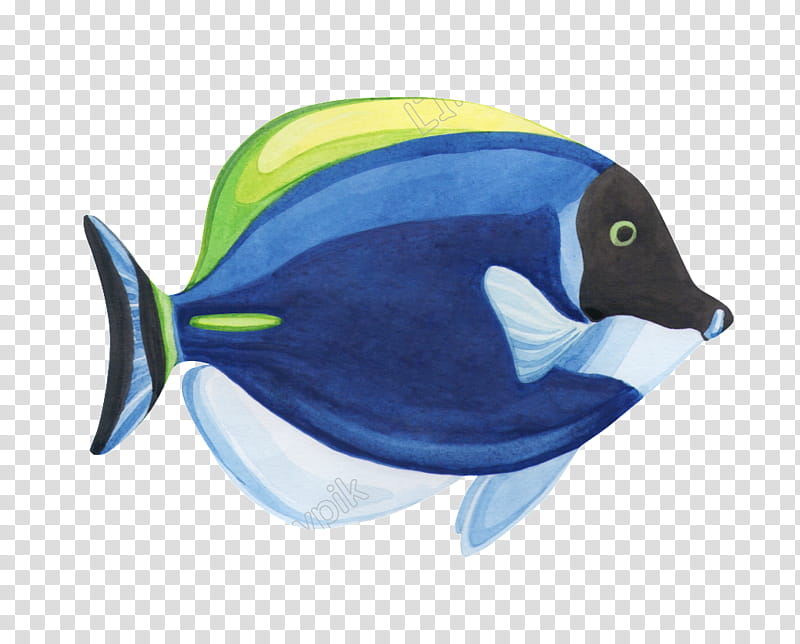 Watercolor Tropical, Fish, Watercolor Painting, Drawing, Goldfish, Coral, Aquarium, Poster transparent background PNG clipart