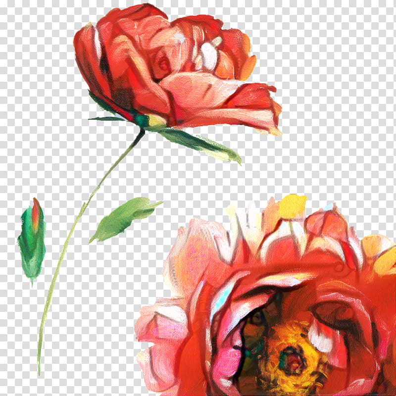 Red Watercolor Flowers, Garden Roses, Floral Design, Cut Flowers, Flower Bouquet, Still Life , Petal, Plant transparent background PNG clipart