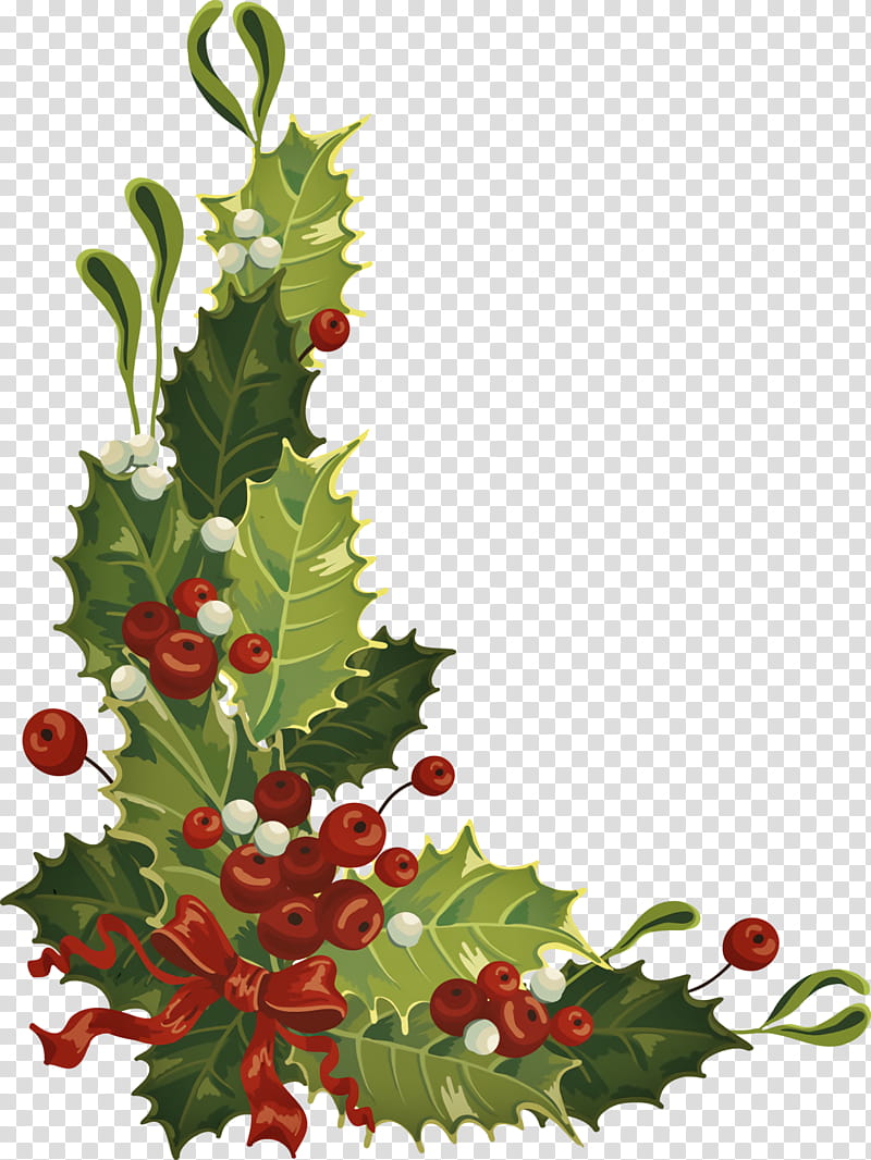 christmas holly Ilex holly, Christmas , Plant, Tree, Flower, Leaf, Hawthorn, Branch transparent background PNG clipart