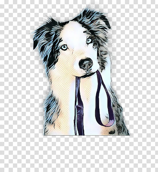 Border, Labrador Retriever, Puppy, Dog Training, Obedience Training, Obedience Trial, Pet, Dog Collar transparent background PNG clipart