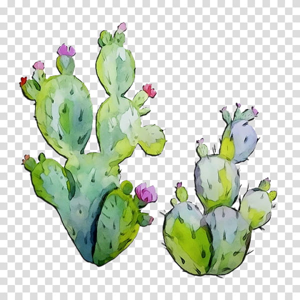 Watercolor Flower, Paint, Wet Ink, Flowerpot, Cactus, Plant, Aquarium Decor, Prickly Pear transparent background PNG clipart