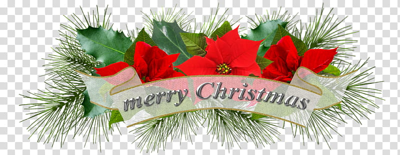Christmas ornaments, red flowers with Merry Christmas text overlay transparent background PNG clipart