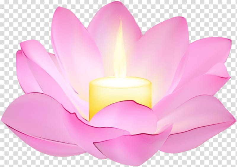Lotus, Watercolor, Paint, Wet Ink, Petal, Candle, Pink, Lighting transparent background PNG clipart