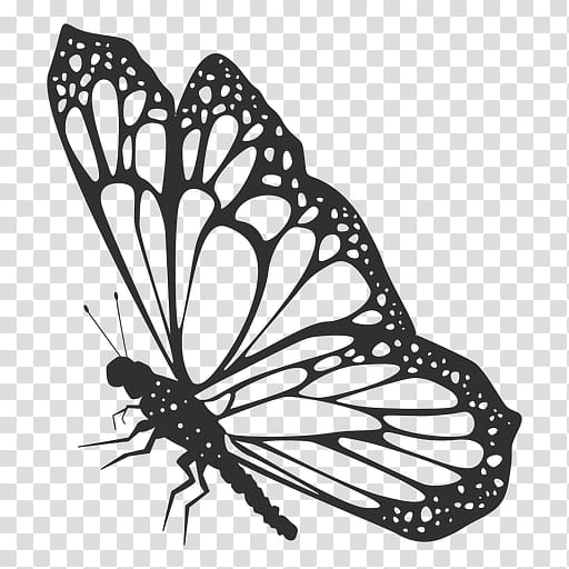 Monarch Butterfly Drawing, Silhouette, Logo, Moths And Butterflies, Insect, Pollinator, Brushfooted Butterfly, Papilio Machaon transparent background PNG clipart