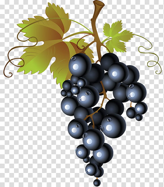 Grapes, Common Grape Vine, Wine, Red Wine, Grape Leaves, Wine Grapes, Concord Grape, White Wine transparent background PNG clipart