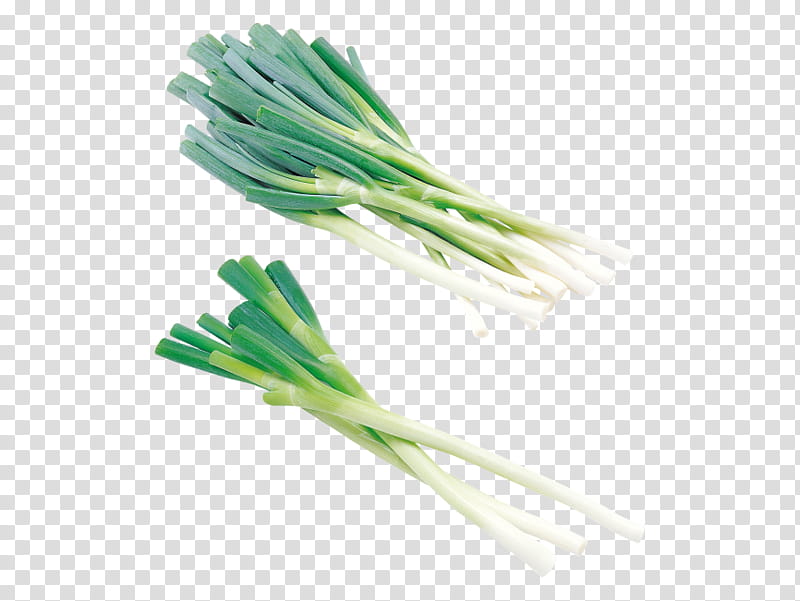 Onion, Cong You Bing, Welsh Onion, Vegetarian Cuisine, Scallion, Shallots, Vegetable, Garlic transparent background PNG clipart