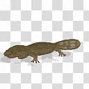 Spore creature Koolasuchus cleelandi transparent background PNG clipart