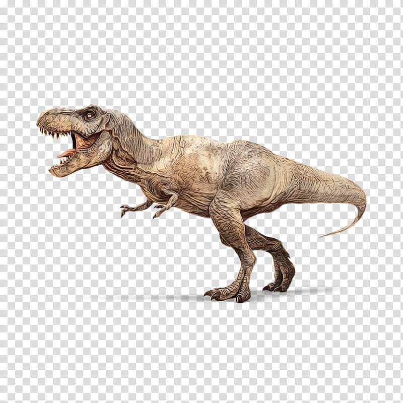 Dinosaur, Watercolor, Paint, Wet Ink, Tyrannosaurus, Animal Figure, Velociraptor, Figurine transparent background PNG clipart