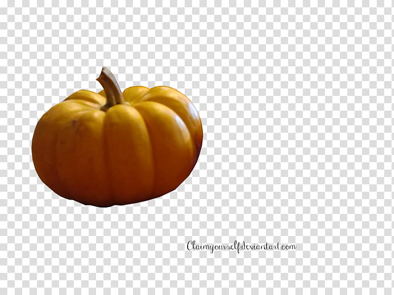 Mini Pumpkin PRECUT, red squash transparent background PNG clipart