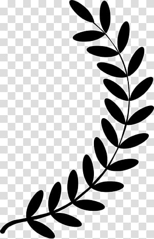Autumn Design, Logo, Silhouette, Leaf, Circle, Plant, Vascular Plant  transparent background PNG clipart | HiClipart