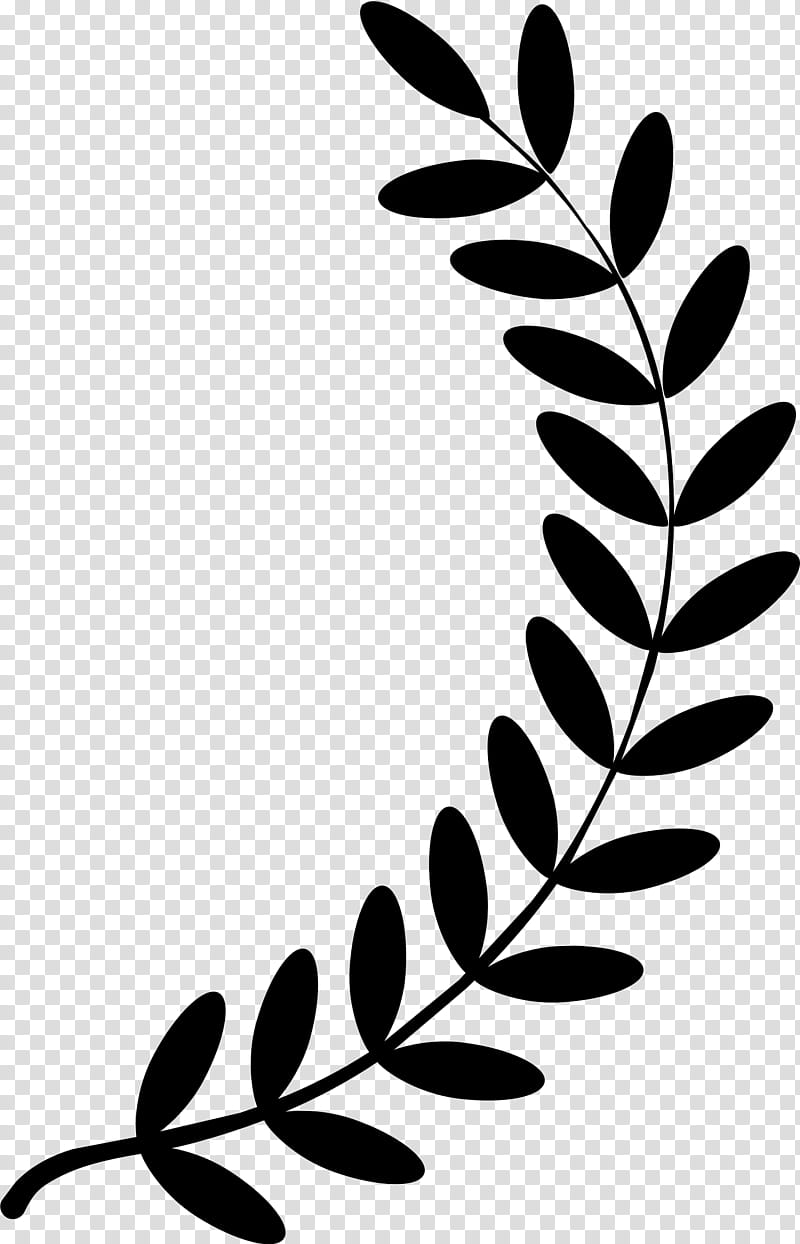 Laurel Leaf, Laurel Wreath, Bay Laurel, Olive Branch, Olive Wreath, Logo, Plant, Flower transparent background PNG clipart