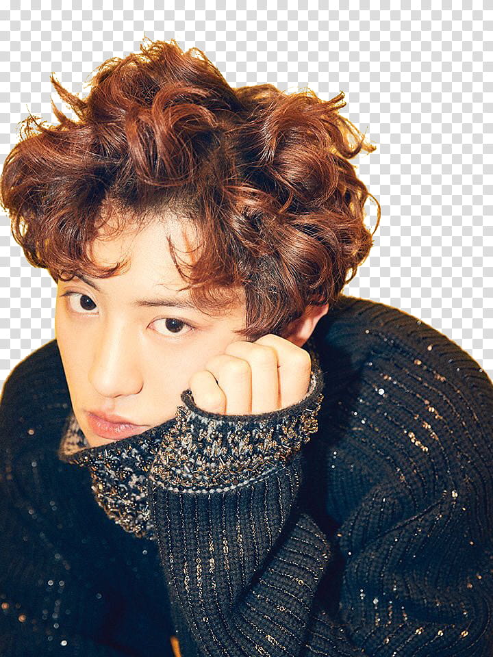 Chanyeol Ceci  Made transparent background PNG clipart