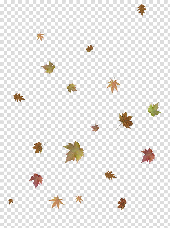 Autumn Branch, Leaf, Season, Leaflet, Sticker, 2018, Abscission, Food transparent background PNG clipart