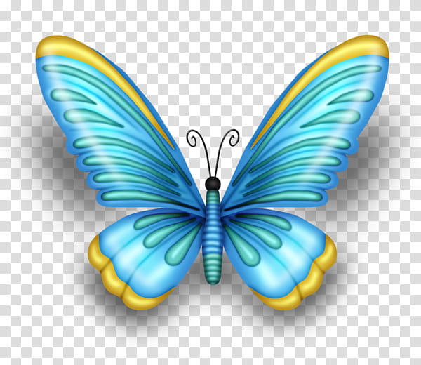 Paper, Monarch Butterfly, Brushfooted Butterflies, Paper Roll, Borboleta, Idea, Symmetry, Microsoft Azure transparent background PNG clipart