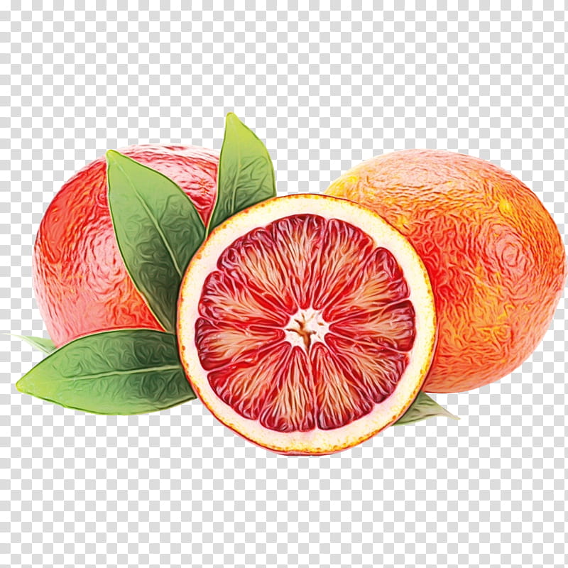 Olive Oil, Blood Orange, Food, Orange Juice, Grapefruit, Balsamic Vinegar, Mandarin Orange, Cara Cara Navel transparent background PNG clipart