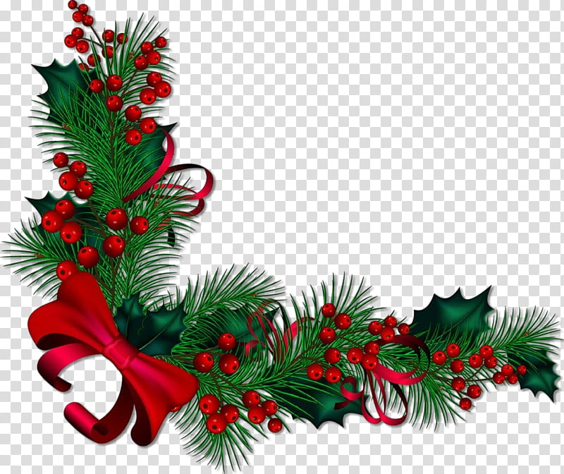 Christmas decoration, Cartoon, Colorado Spruce, Oregon Pine, Holly ...